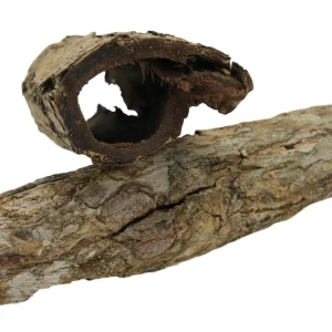 Zlevněný Kůra Mandlovníku mořského 1 trubička