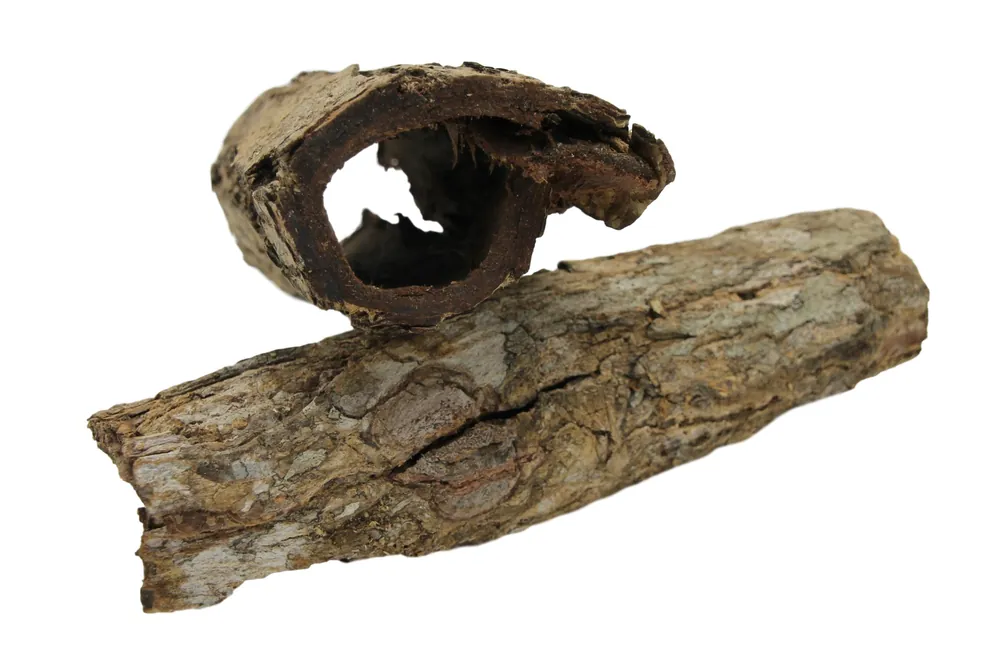 Zlevněný Kůra Mandlovníku mořského 1 trubička