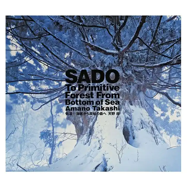 Značkový ADA SADO - To Primitive Forest from Bottom of Sea