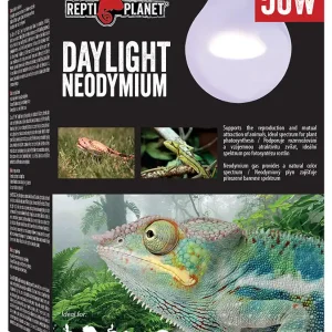 Žárovka REPTI PLANET Daylight Neodymium 50 W Akční Nabídka