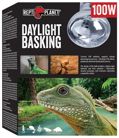 Žárovka REPTI PLANET Daylight Basking Spot 100W Akční Nabídka