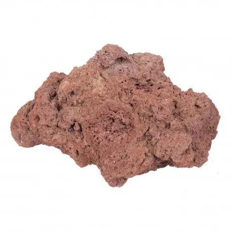 Akční Cena Lávový kámen Tropica 8-15 cm