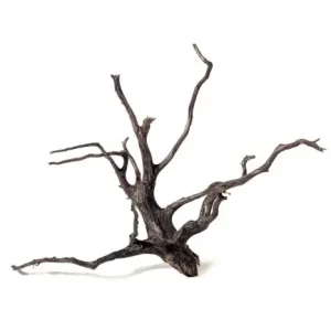 Značkový Kořen Black Root L 60-70 cm