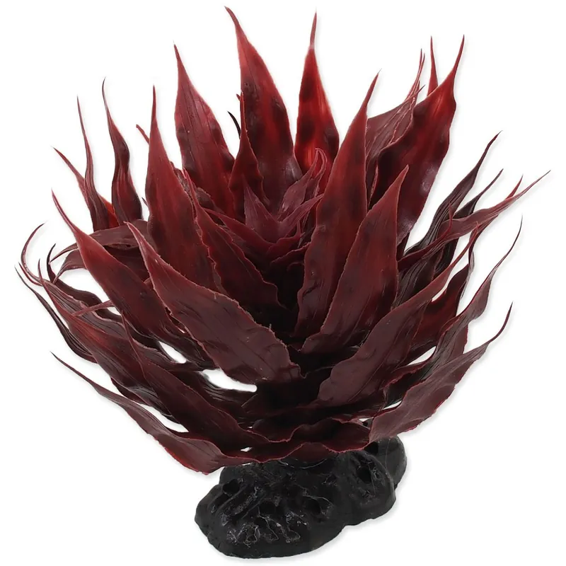Rostlina REPTI PLANET sukulent Agave červená 18 cm Nejprodávanější