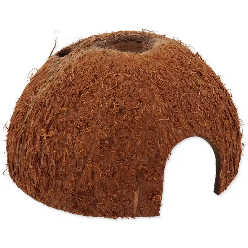 Úkryt REPTI PLANET Coco Shell M Časově Omezené