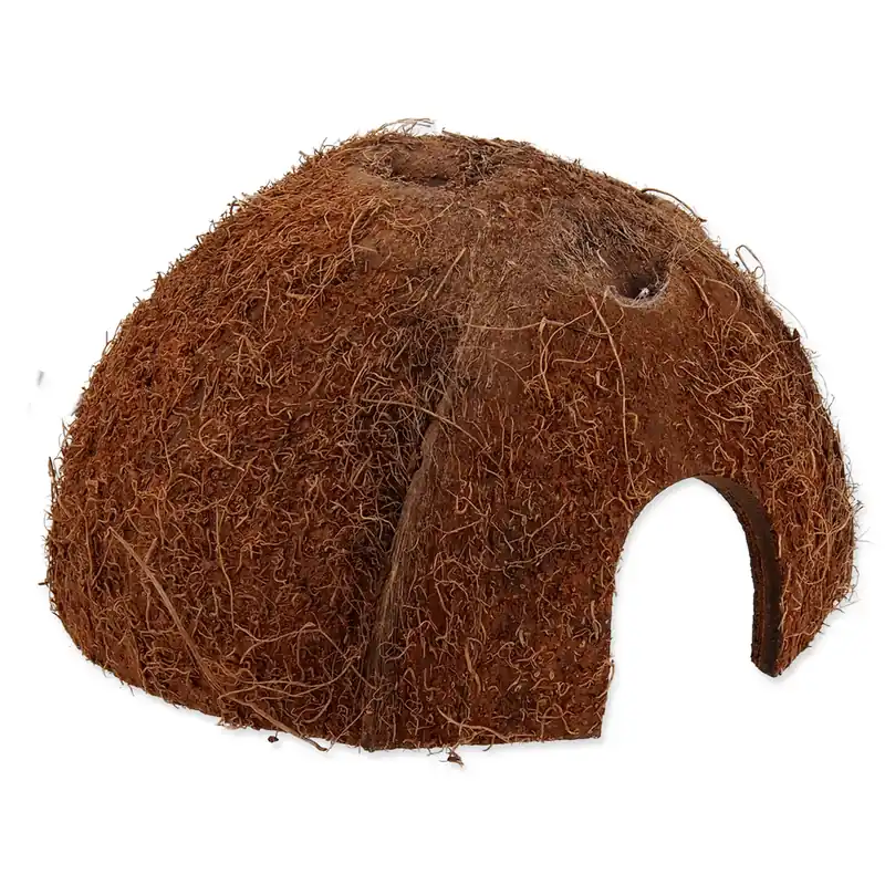 Úkryt REPTI PLANET Coco Shell S Nízká Cena