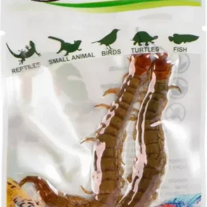 Super Cena ProBugs Eco-Fresh Scolopendra Centipede čerstvé stonožky 2 ks