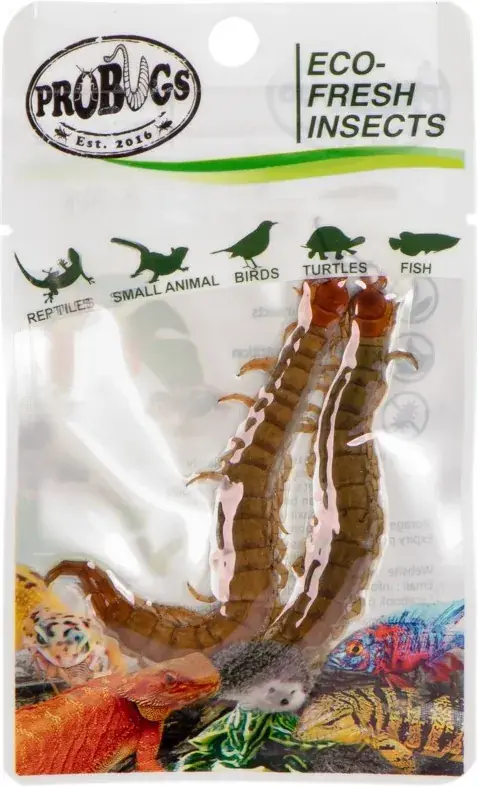 Super Cena ProBugs Eco-Fresh Scolopendra Centipede čerstvé stonožky 2 ks