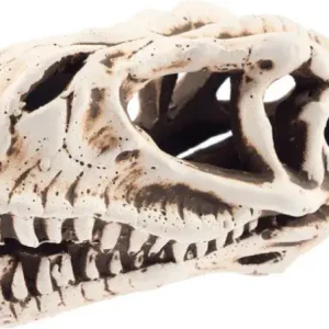 Lebka dinosaura č. 28065 Nejlepší Cena