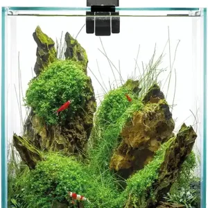 Značkový AquaEl Shrimp Smart DAY&NIGHT akvarijní set 30 l černý
