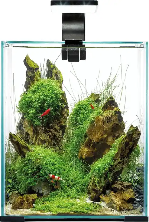 Značkový AquaEl Shrimp Smart DAY&NIGHT akvarijní set 30 l černý