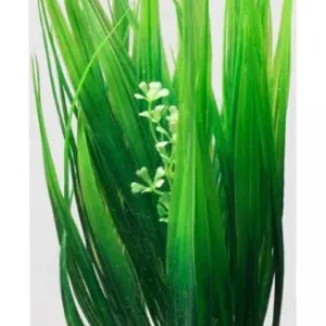 Zlevněný ATG Premium rostlina Střední (26-32cm) 401