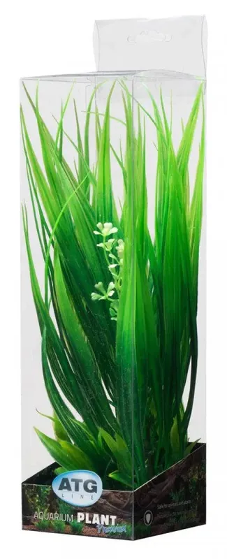 Zlevněný ATG Premium rostlina Střední (26-32cm) 401