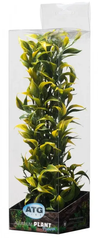 Zlevněný ATG Premium rostlina Střední (26-32cm) 404