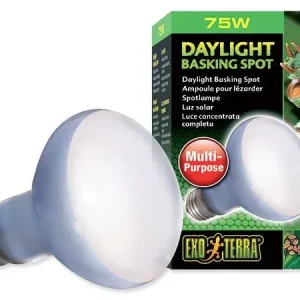 Žárovka Exo Terra Daylight Basking Spot 75W Expresní Doručení