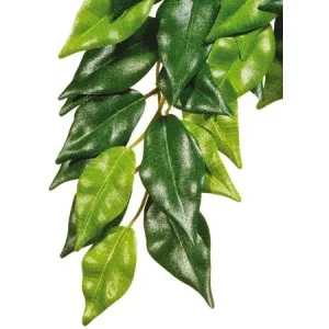 Značkový Hagen Exo Terra rostlina Ficus malá 45 cm
