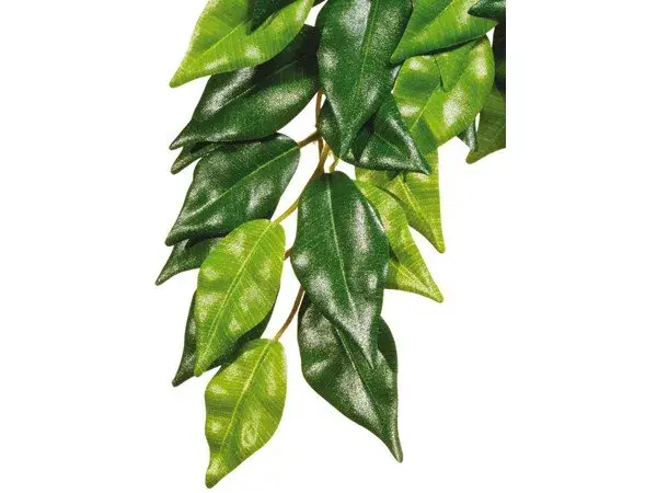 Značkový Hagen Exo Terra rostlina Ficus malá 45 cm