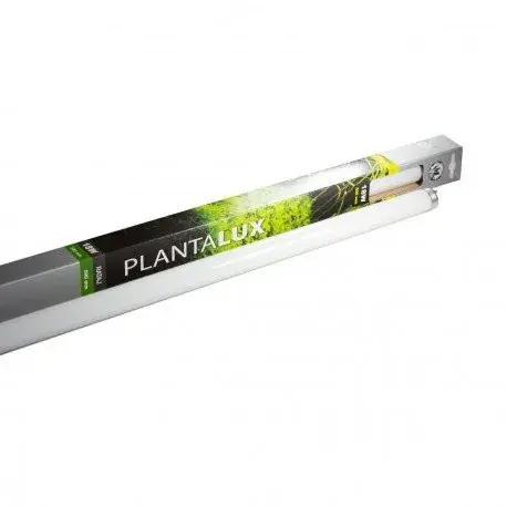 Akce Rataj zářivka Plantalux T8 18W