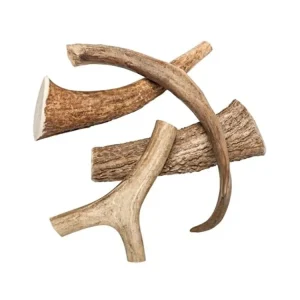ZVERKY Odměna pro psy Jelení paroh celý XXL Kup Teď